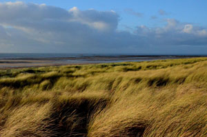 Cotentin