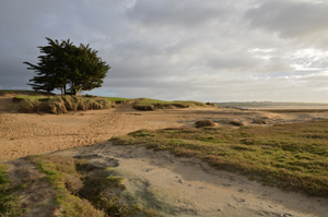 Plage du Cotentin